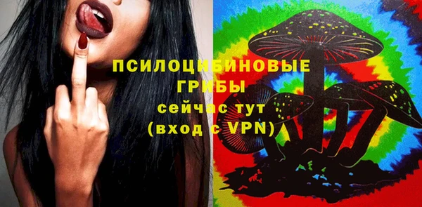 героин Алзамай