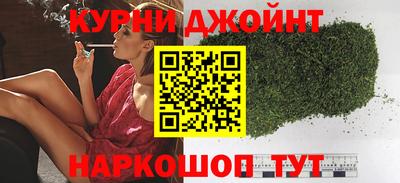 гидра Славгород