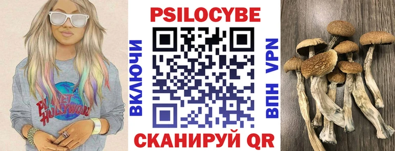 Псилоцибиновые грибы Cubensis  Морозовск 