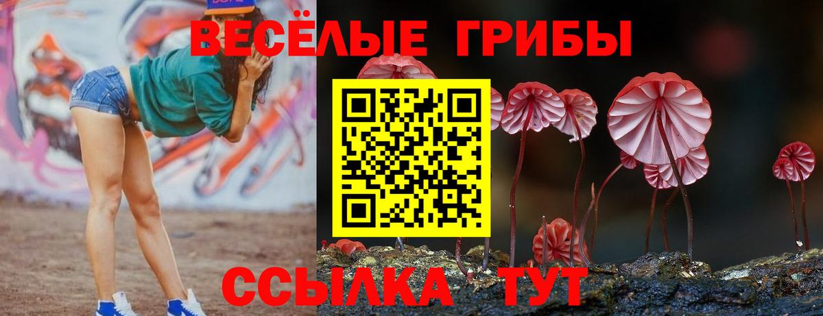 Морозовск  Галлюциногенные грибы прущие грибы  Псилоцибиновые грибы мицелий  Вход с VPN 
